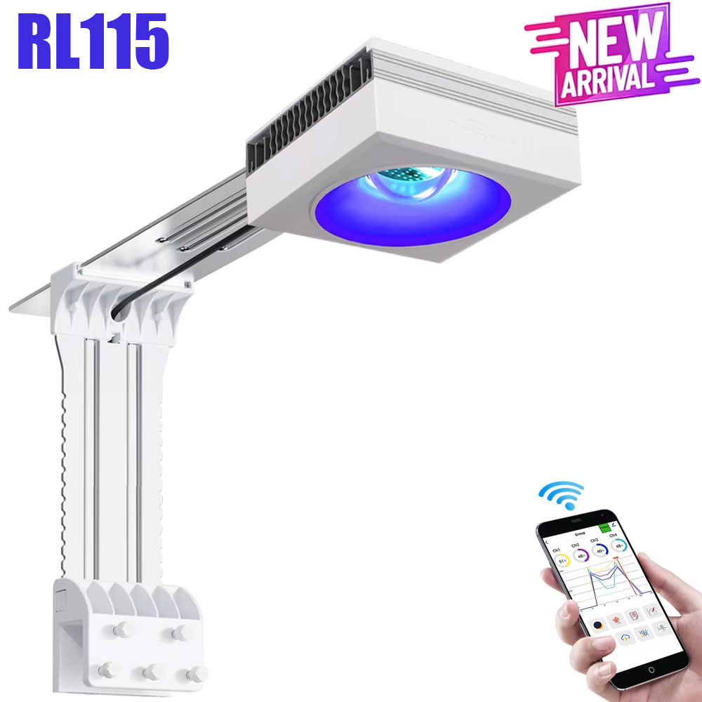 NEW PopBloom RL115 WiFi Marine - Marine Coral ulasan dan harga