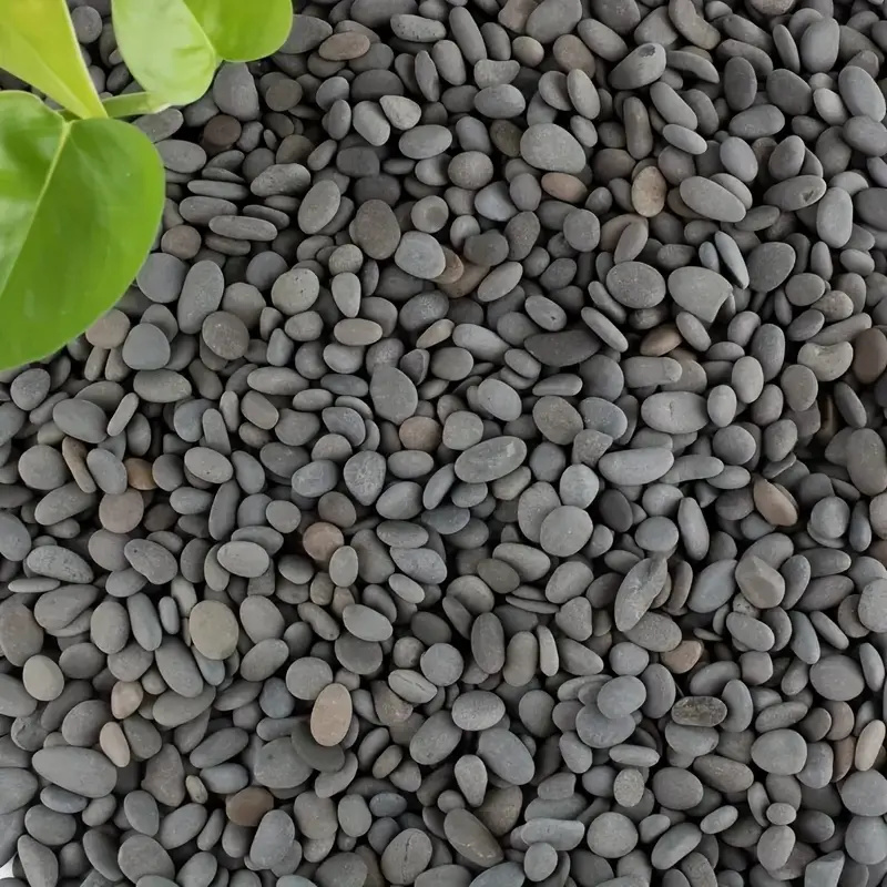 20Pcs Natural River Rocks Smoo - Marine Fish Tank ulasan dan harga